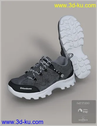 3D打印模型Trail Running Shoes 4 for Genesis 3 and 8 Male(s)的图片