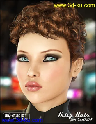 3D打印模型Trixy Hair for Genesis的图片