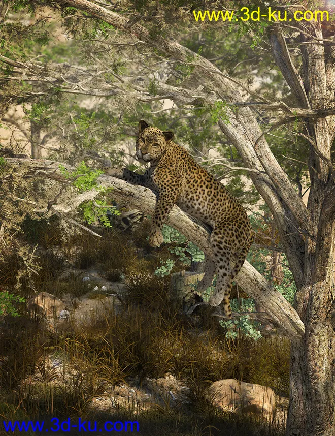 Tropical Acacia Trees模型的图片2