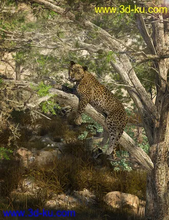 3D打印模型Tropical Acacia Trees的图片