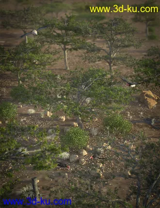 3D打印模型Tropical Acacia Trees的图片