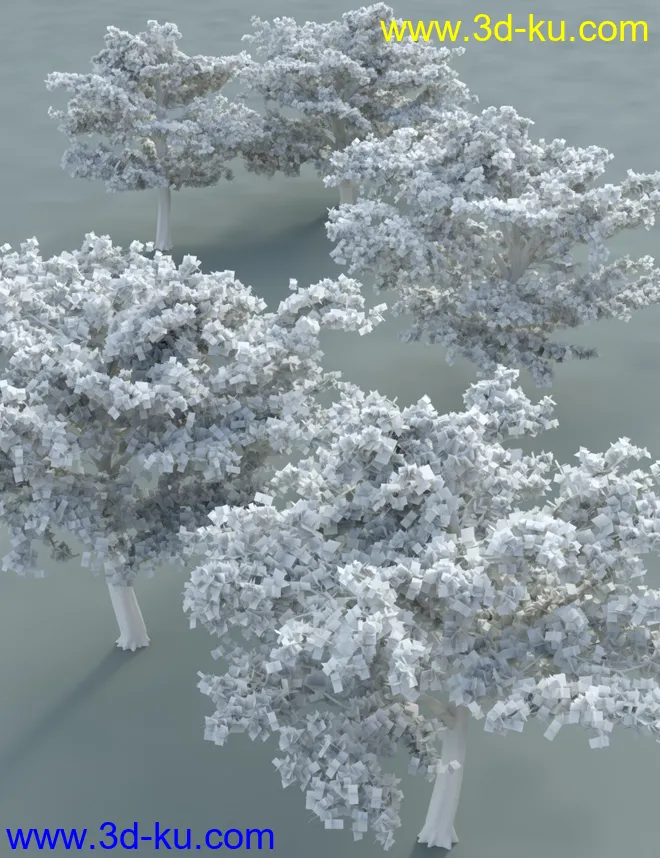 Tropical Acacia Trees模型的图片6
