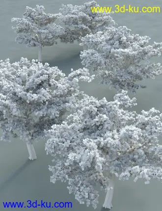 3D打印模型Tropical Acacia Trees的图片