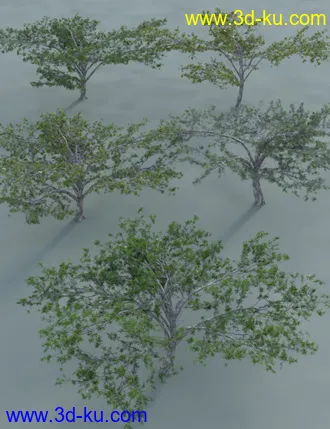 3D打印模型Tropical Acacia Trees的图片