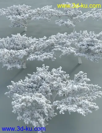 3D打印模型Tropical Acacia Trees的图片