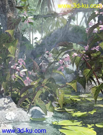 3D打印模型Tropical Flowers - Dragon Wing Begonia Plants的图片