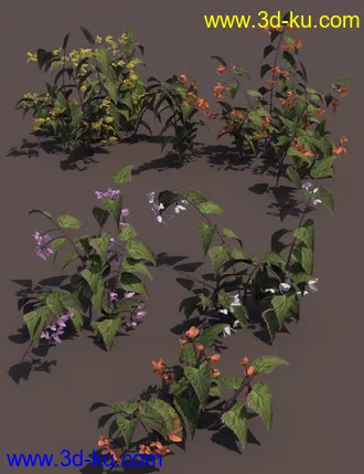 3D打印模型Tropical Flowers - Dragon Wing Begonia Plants的图片