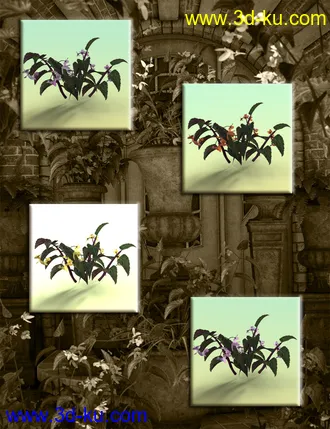 3D打印模型Tropical Flowers - Dragon Wing Begonia Plants的图片