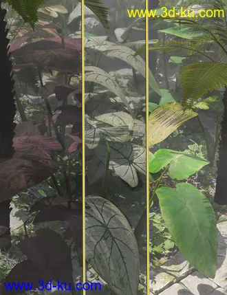 3D打印模型Tropical Foliage Plants- Colcassia的图片