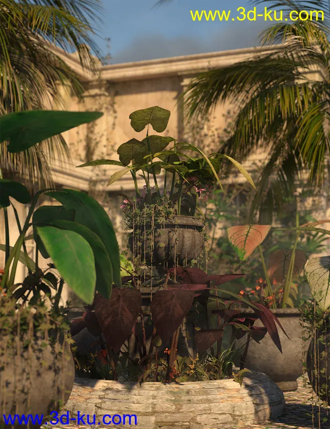 Tropical Foliage Plants- Colcassia模型的图片2