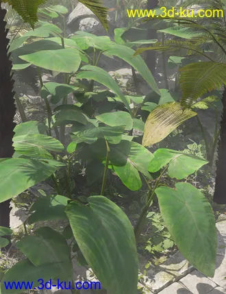 3D打印模型Tropical Foliage Plants- Colcassia的图片