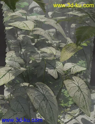 3D打印模型Tropical Foliage Plants- Colcassia的图片