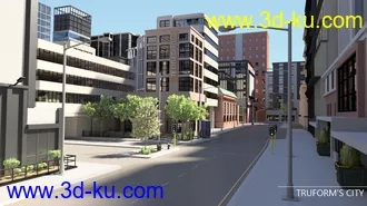 3D打印模型TruForms City的图片