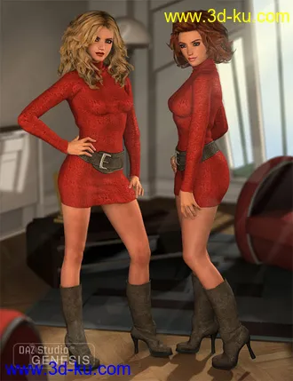3D打印模型Turtleneck Sweater Dress的图片