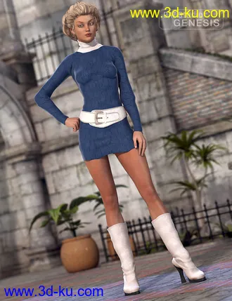 3D打印模型Turtleneck Sweater Dress Textures的图片