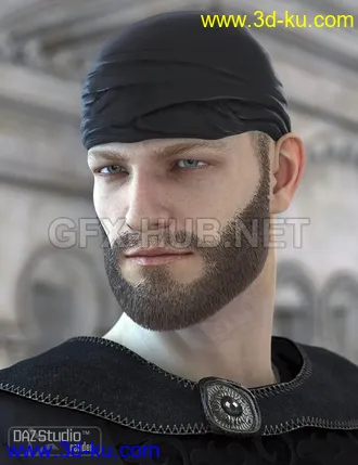 3D打印模型Unshaven Beard for Genesis的图片