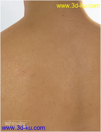 3D打印模型V4 Elite Texture Ariana的图片