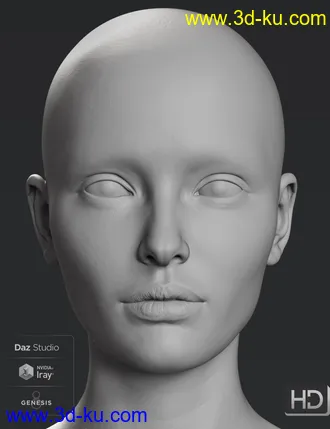 3D打印模型Victoria 8.1 HD Add-On的图片