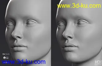 3D打印模型Victoria 8.1 HD Add-On的图片