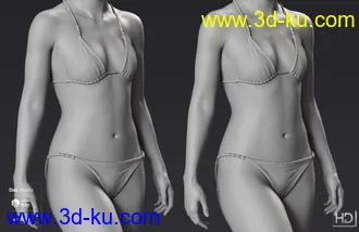 3D打印模型Victoria 8.1 HD Add-On的图片