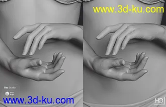 3D打印模型Victoria 8.1 HD Add-On的图片