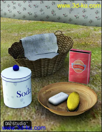 3D打印模型Washing Day的图片