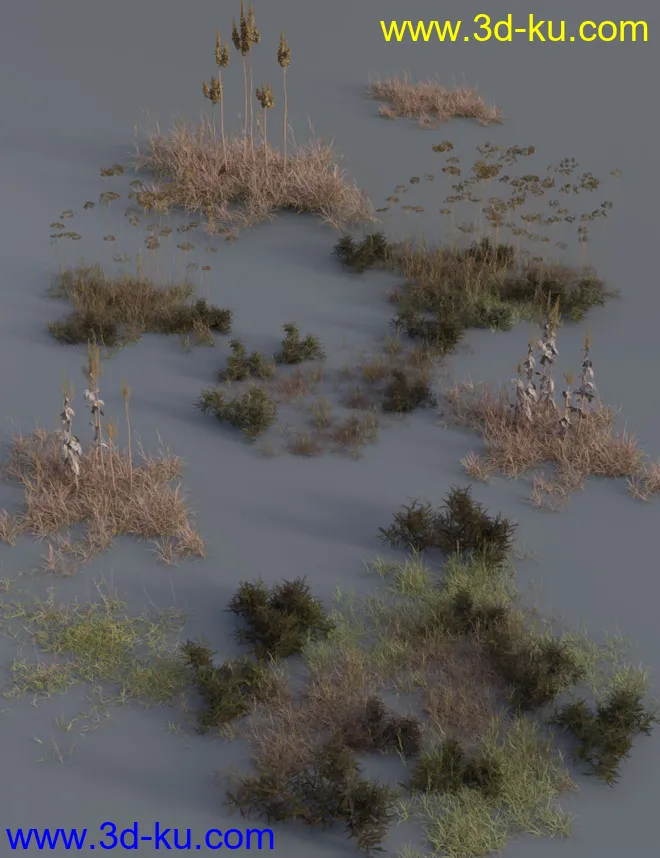 Wasteland Plants - High Resolution Instant Eco Systems模型的图片5