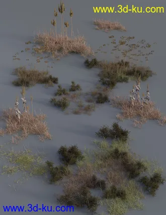 3D打印模型Wasteland Plants - High Resolution Instant Eco Systems的图片