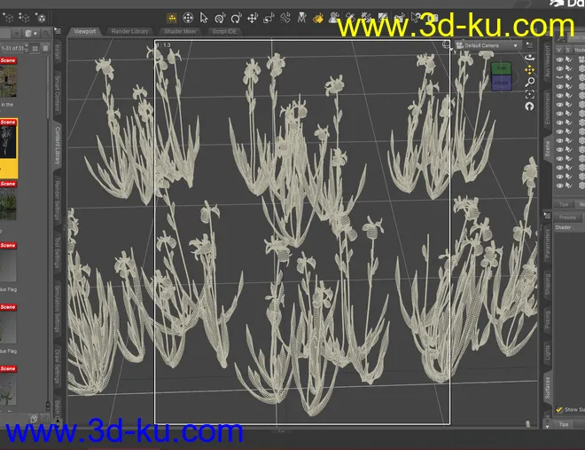 Water Iris - High Res Flowering Plants模型的图片2