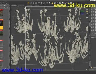 3D打印模型Water Iris - High Res Flowering Plants的图片