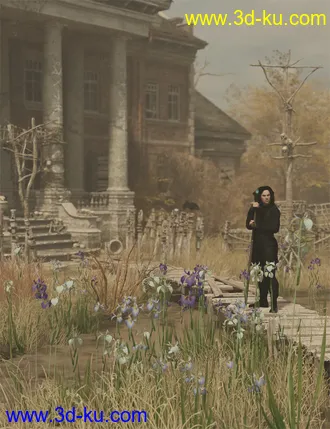 3D打印模型Water Iris - High Res Flowering Plants的图片