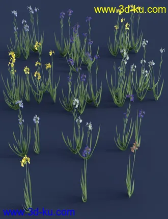 3D打印模型Water Iris - High Res Flowering Plants的图片
