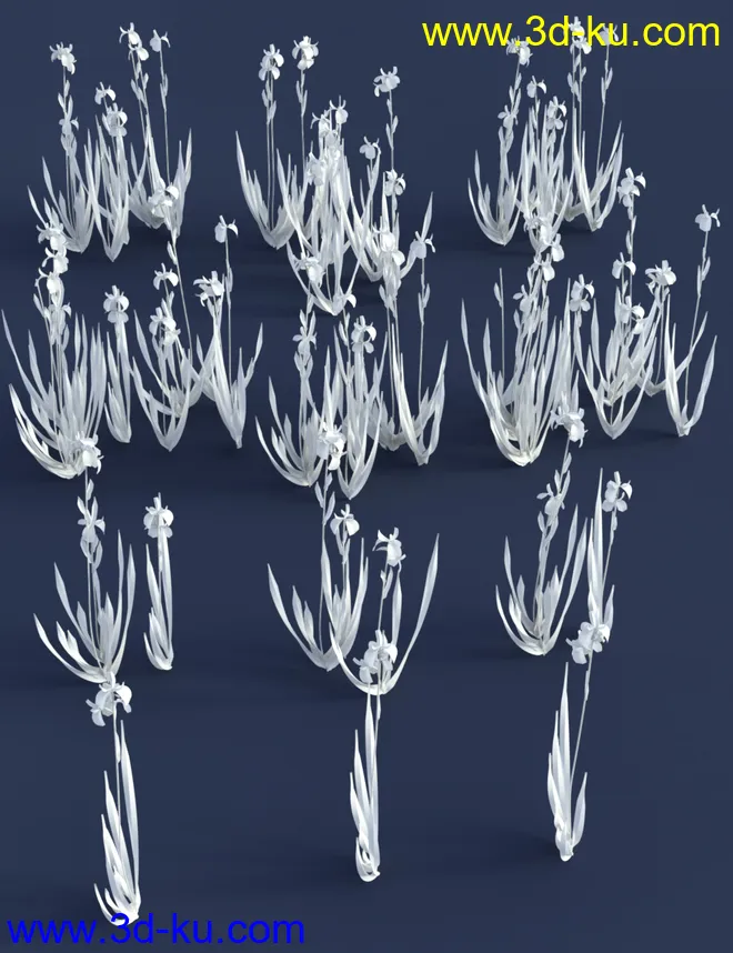 Water Iris - High Res Flowering Plants模型的图片6