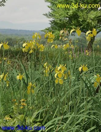 3D打印模型Water Iris - High Res Flowering Plants的图片