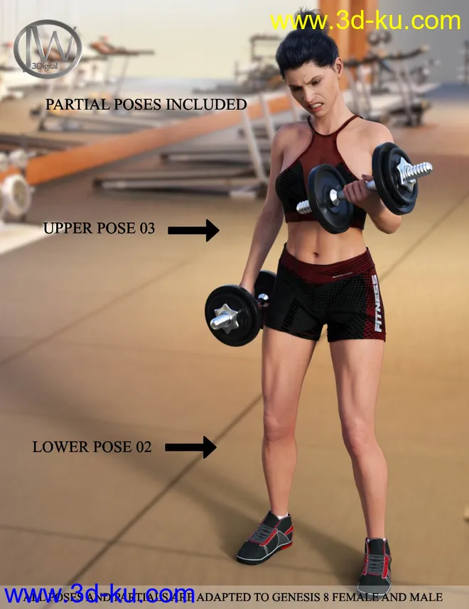 Weight Workout Props and Poses for Genesis 8模型的图片3