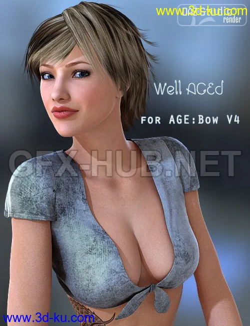 Well AGEd Bow V4模型的图片1