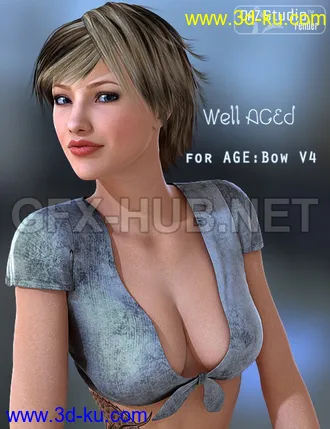 3D打印模型Well AGEd Bow V4的图片