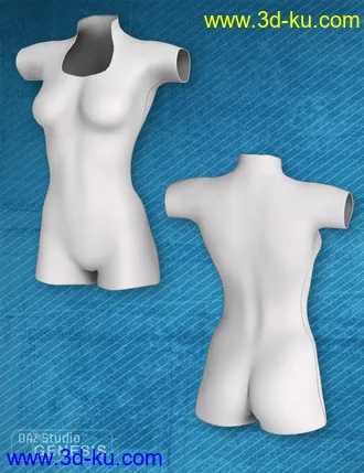 3D打印模型Wicked Playsuit的图片