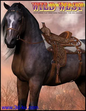 3D打印模型Wild West Textures for Western Tack的图片