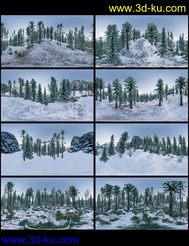 Winter Forest HDRI模型的图片9