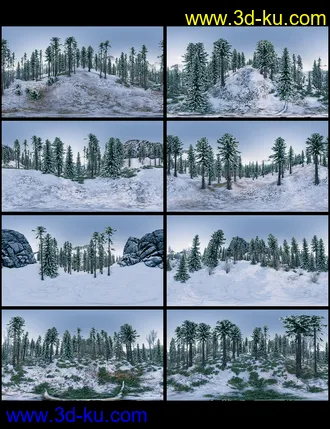 3D打印模型Winter Forest HDRI的图片