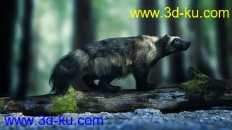 3D打印模型Wolverine by AM的图片