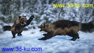 3D打印模型Wolverine by AM的图片