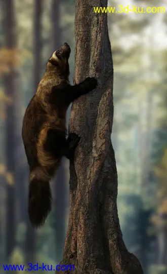 3D打印模型Wolverine by AM的图片