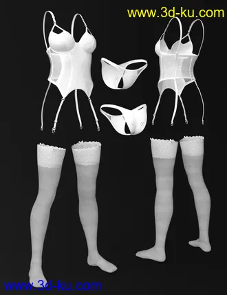 3D打印模型X-Fashion Wild Lace Lingerie Set Genesis 8 Female(s)的图片
