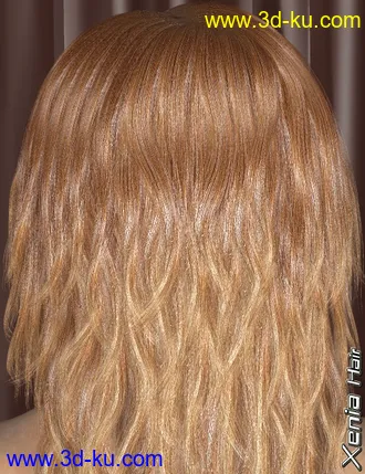 3D打印模型Xenia Hair的图片