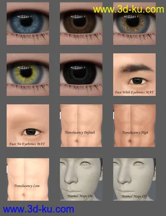 3D打印模型Yang and Expressions for Genesis 8 Male的图片