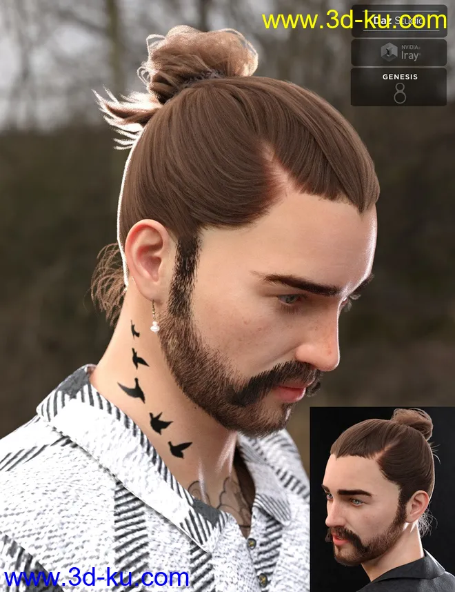 Yvanovich Bun Hair and Beard for Genesis 8 Male(s)模型的图片1