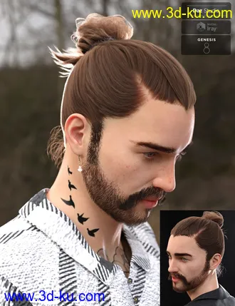 3D打印模型Yvanovich Bun Hair and Beard for Genesis 8 Male(s)的图片