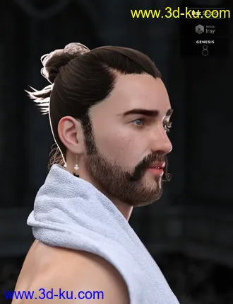 3D打印模型Yvanovich Bun Hair and Beard for Genesis 8 Male(s)的图片